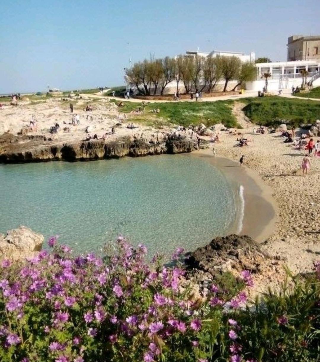 Da Luigi Locazioni Brevi Turistiche Bed & Breakfast Monopoli Luaran gambar